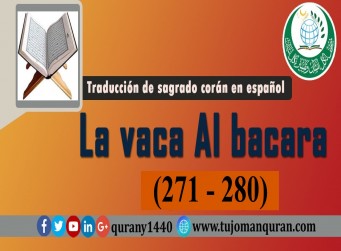 Traducción de sagrado corán en español -  2 - La vaca Al bacara – (271 - 280)