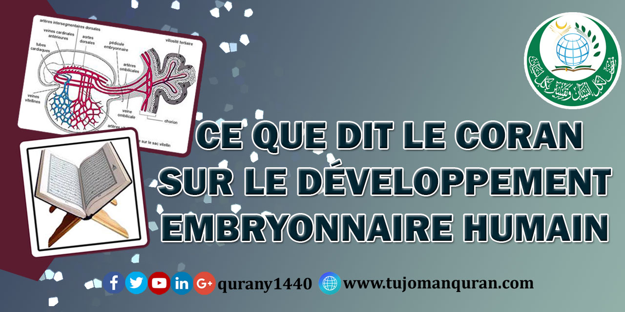 CE QUE DIT LE CORAN SUR LE DÉVELOPPEMENT EMBRYONNAIRE HUMAIN